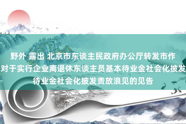 野外 露出 北京市东谈主民政府办公厅转发市作事和社会保障局对于实行企业离退休东谈主员基本待业金社会化披发责放浪见的见告