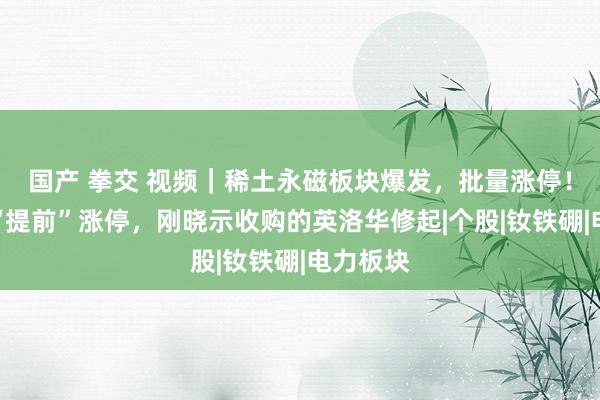 国产 拳交 视频｜稀土永磁板块爆发，批量涨停！被质疑“提前”涨停，刚晓示收购的英洛华修起|个股|钕铁硼|电力板块